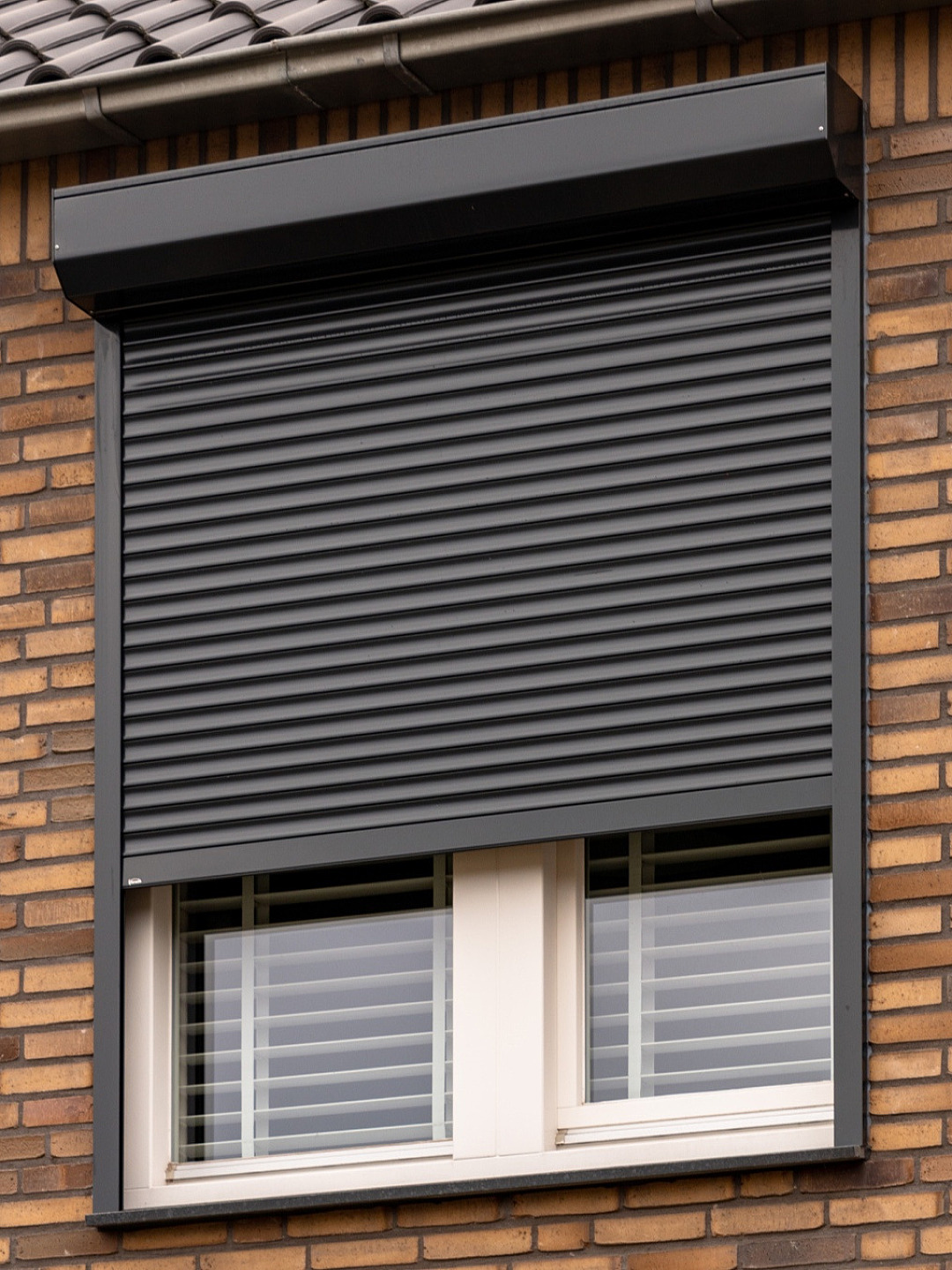 Rolluiken elektrische zonnewering beste zonwering maatwerk